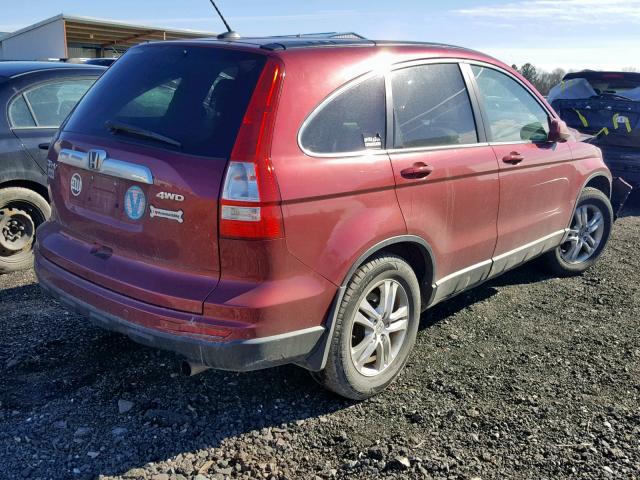 5J6RE4H76AL040904 - 2010 HONDA CR-V EXL RED photo 4