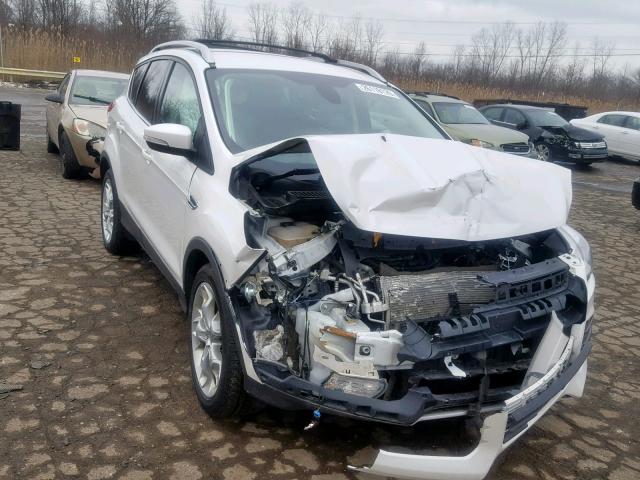 1FMCU9JX3EUE24964 - 2014 FORD ESCAPE TIT WHITE photo 1