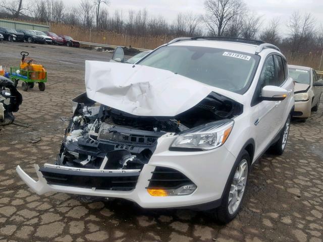 1FMCU9JX3EUE24964 - 2014 FORD ESCAPE TIT WHITE photo 2