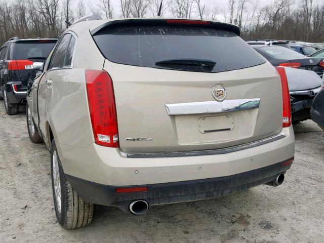 3GYFNDEY1AS646895 - 2010 CADILLAC SRX LUXURY TAN photo 3