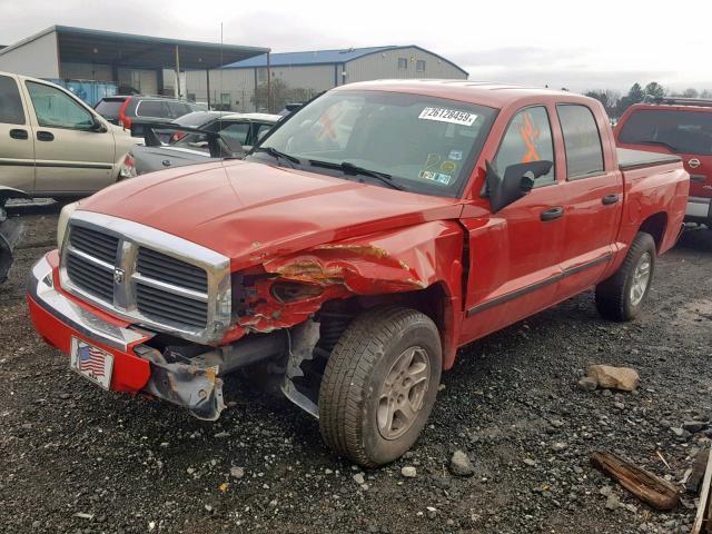 1D7HE48N26S512972 - 2006 DODGE DAKOTA QUA RED photo 2