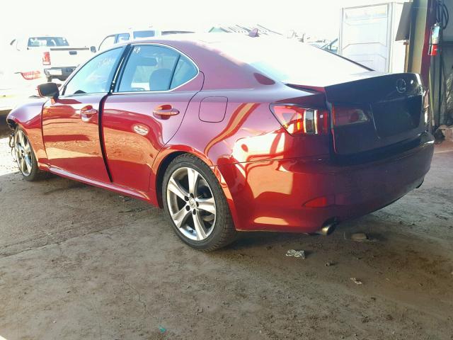 JTHBF5C23B5150044 - 2011 LEXUS IS 250 RED photo 3