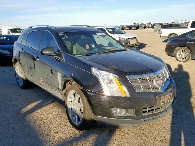 3GYFNBEYXAS612975 - 2010 CADILLAC SRX PERFOR შავი ფოტო 1