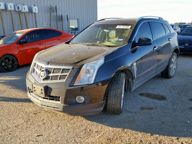 3GYFNBEYXAS612975 - 2010 CADILLAC SRX PERFOR შავი ფოტო 2