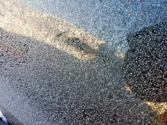 1G11A5SL3FF333443 - 2015 CHEVROLET MALIBU LS GOLD photo 8