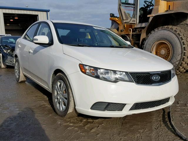 KNAFU4A27A5129991 - 2010 KIA FORTE EX WHITE photo 1