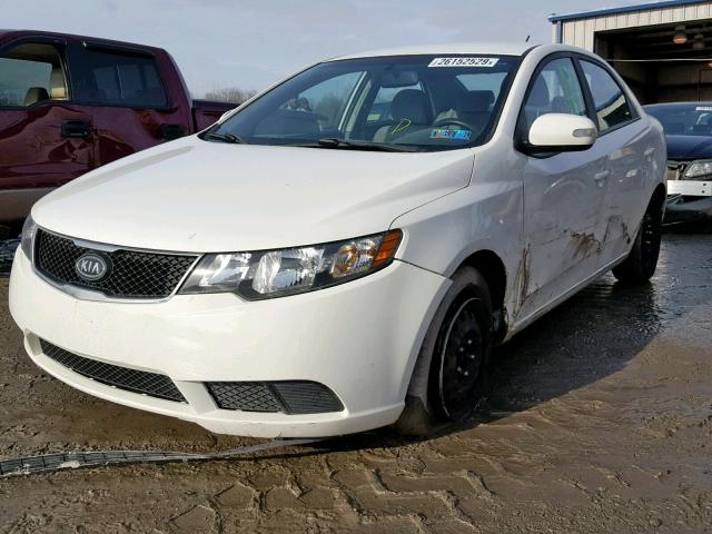 KNAFU4A27A5129991 - 2010 KIA FORTE EX WHITE photo 2