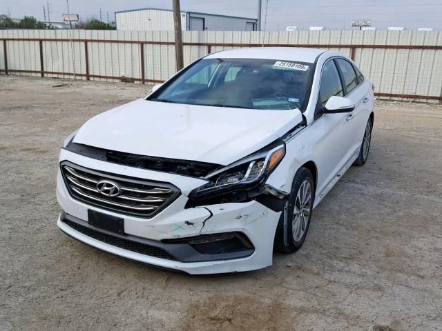 5NPE34AF9GH266072 - 2016 HYUNDAI SONATA SPO WHITE photo 2