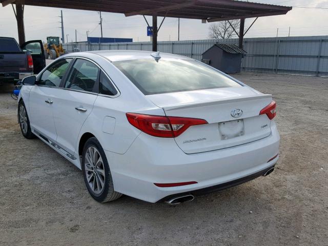 5NPE34AF9GH266072 - 2016 HYUNDAI SONATA SPO WHITE photo 3