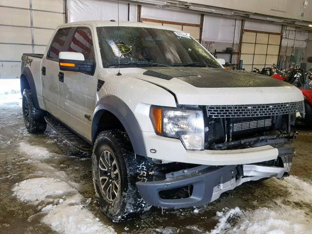 1FTFW1R67EFC90005 - 2014 FORD F150 SVT R TAN photo 1