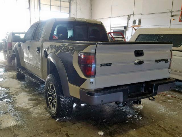 1FTFW1R67EFC90005 - 2014 FORD F150 SVT R TAN photo 3