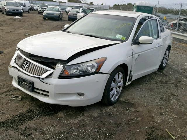 1HGCP3F81AA029365 - 2010 HONDA ACCORD EXL WHITE photo 2