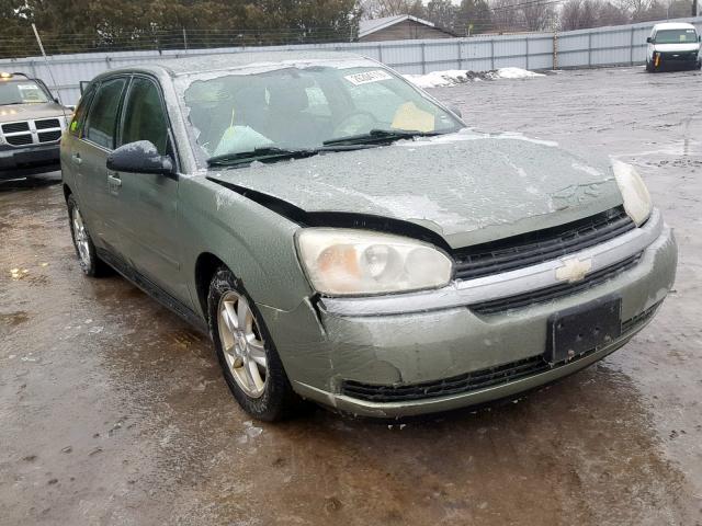1G1ZT62875F111033 - 2005 CHEVROLET MALIBU MAX SILVER photo 1