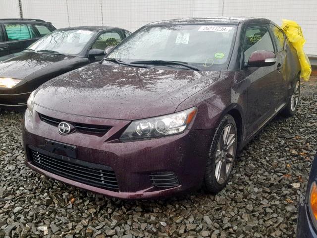 JTKJF5C79B3018239 - 2011 TOYOTA SCION TC იასამნისფერი ფოტო 2