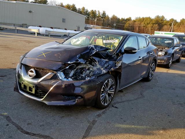 1N4AA6AP7HC416756 - 2017 NISSAN MAXIMA 3.5 BLACK photo 2