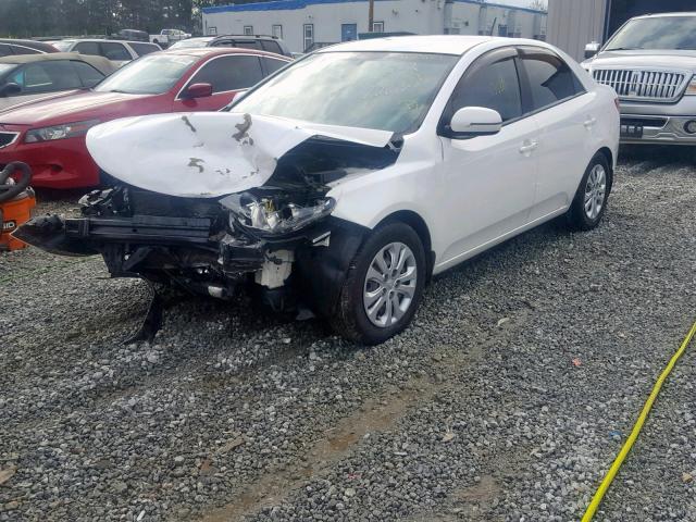 KNAFU4A22D5731296 - 2013 KIA FORTE EX WHITE photo 2