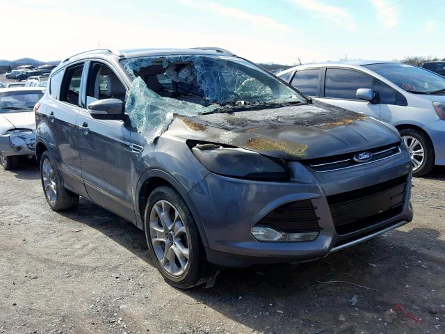 1FMCU0JX1EUB49493 - 2014 FORD ESCAPE TIT GRAY photo 1