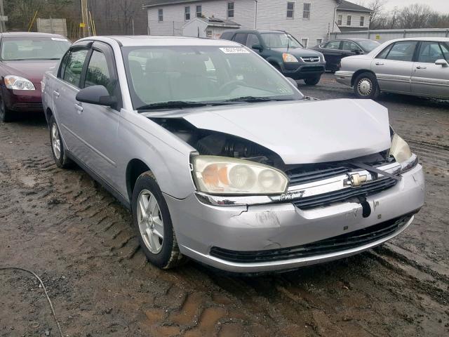 1G1ZT54825F318209 - 2005 CHEVROLET MALIBU LS Күміс фото 1