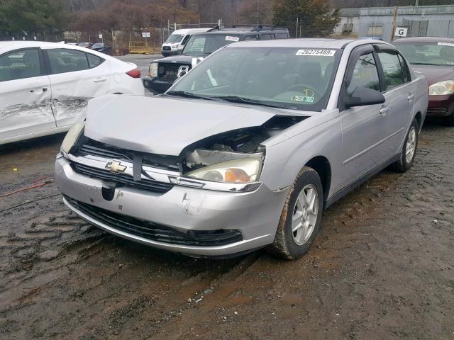 1G1ZT54825F318209 - 2005 CHEVROLET MALIBU LS Күміс фото 2
