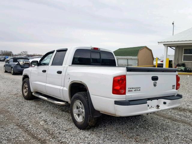 1D7HW48N48S546072 - 2008 DODGE DAKOTA QUA WHITE photo 3