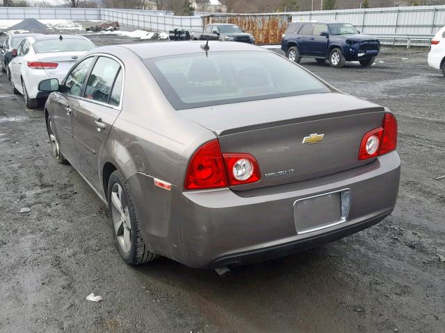 1G1ZC5E13BF309211 - 2011 CHEVROLET MALIBU 1LT ოქროსფერი ფოტო 3