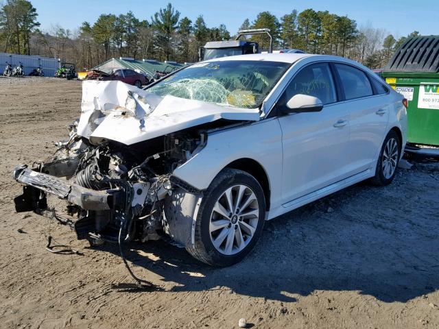 5NPE34AF2FH064995 - 2015 HYUNDAI SONATA SPO WHITE photo 2