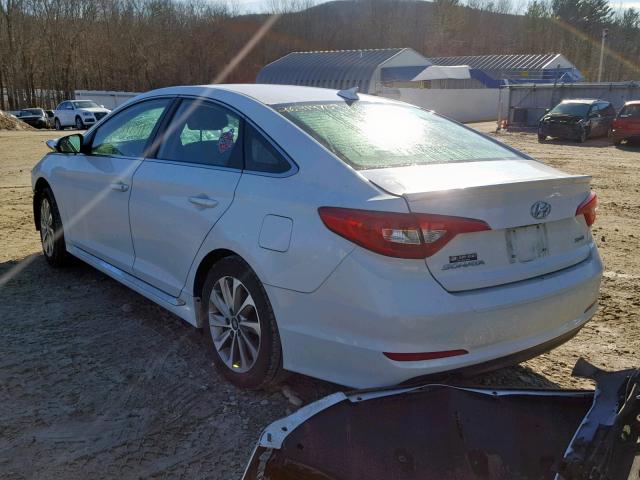 5NPE34AF2FH064995 - 2015 HYUNDAI SONATA SPO WHITE photo 3