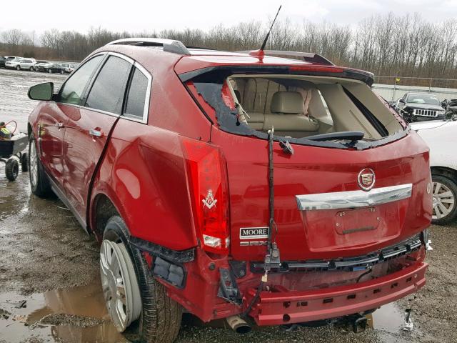 3GYFNAEY1BS589470 - 2011 CADILLAC SRX LUXURY BURGUNDY photo 3