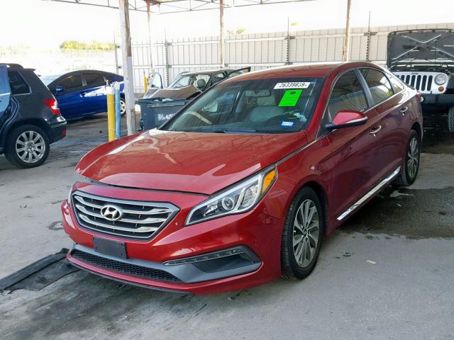 5NPE34AF3FH040754 - 2015 HYUNDAI SONATA SPO RED photo 2