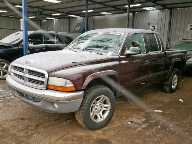 1D7HG48NX4S751046 - 2004 DODGE DAKOTA QUA BURGUNDY photo 2