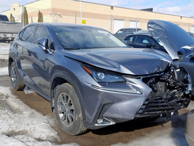 JTJBARBZXK2179464 - 2019 LEXUS NX 300 GRAY photo 1