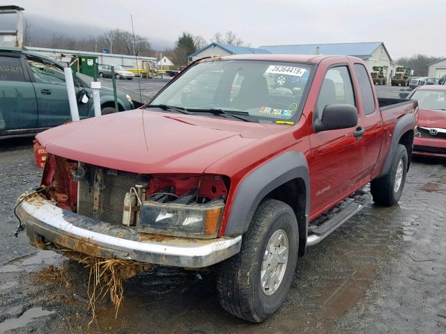 1GCDT196758190099 - 2005 CHEVROLET COLORADO RED photo 2