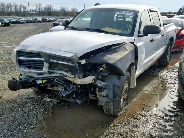 1D7HW48N85S292300 - 2005 DODGE DAKOTA QUA WHITE photo 2