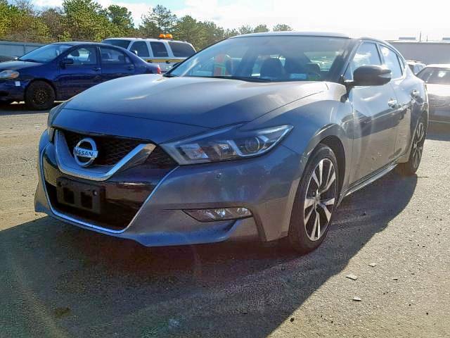 1N4AA6AP6GC448130 - 2016 NISSAN MAXIMA 3.5 GRAY photo 2