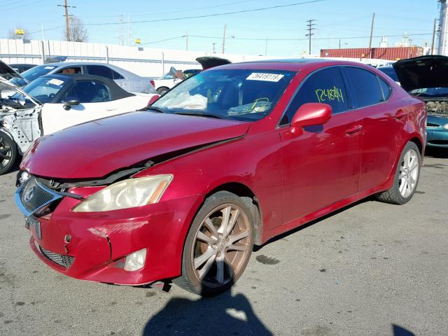 JTHBK262065012988 - 2006 LEXUS IS 250 RED photo 2