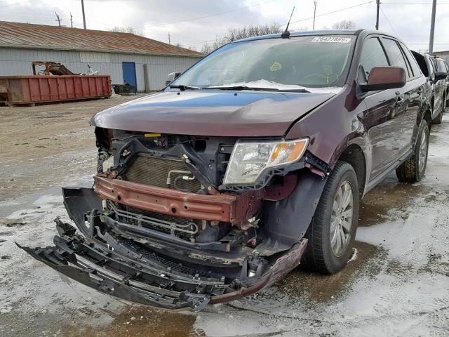 2FMDK38C39BA41371 - 2009 FORD EDGE SEL BURGUNDY photo 2