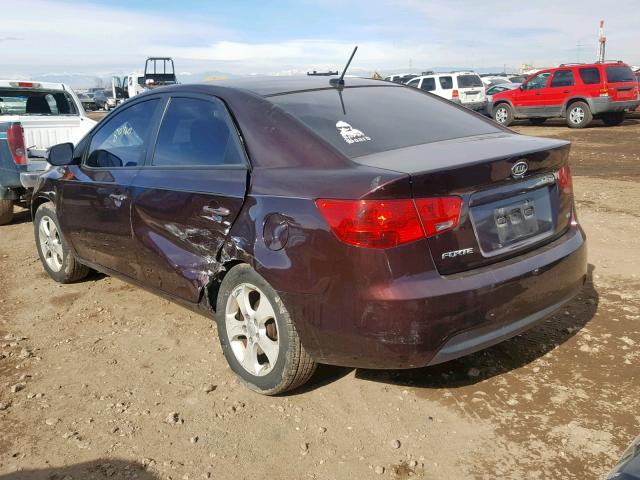 KNAFU4A26A5117833 - 2010 KIA FORTE EX BURGUNDY photo 3