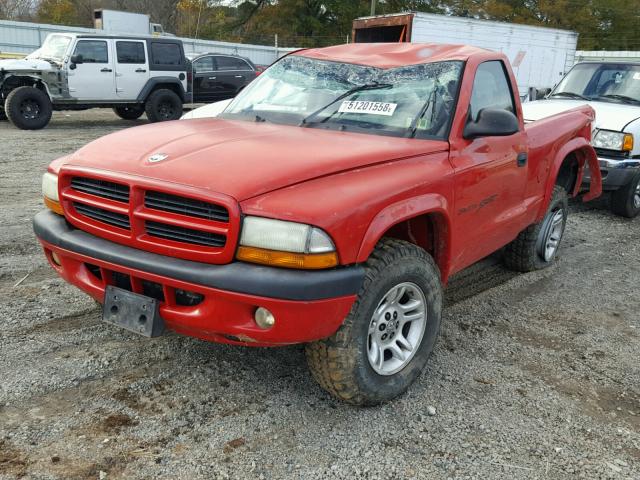 1B7GG26X81S335832 - 2001 DODGE DAKOTA RED photo 2