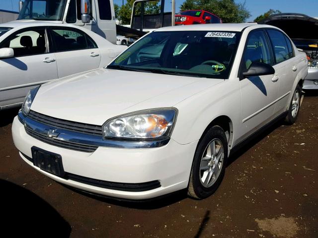 1G1ZT52895F278052 - 2005 CHEVROLET MALIBU LS Ağ foto 2