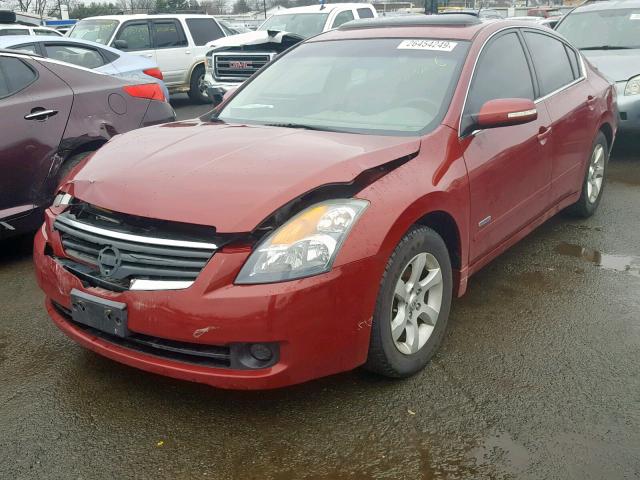 1N4CL21E57C236085 - 2007 NISSAN ALTIMA HYB RED photo 2