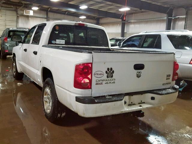 1D7HW48P37S182890 - 2007 DODGE DAKOTA QUA WHITE photo 3