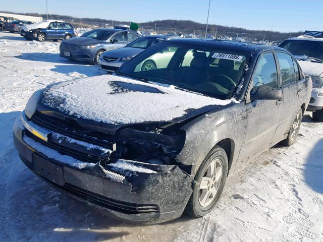 1G1ZT54844F118298 - 2004 CHEVROLET MALIBU LS Qara foto 2