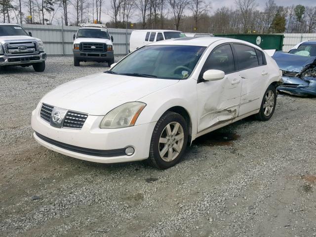 1N4BA41E06C848996 - 2006 NISSAN MAXIMA SE WHITE photo 2