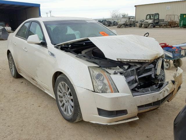 1G6DE5EGXA0128627 - 2010 CADILLAC CTS LUXURY CREAM photo 1