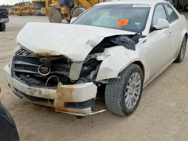 1G6DE5EGXA0128627 - 2010 CADILLAC CTS LUXURY CREAM photo 2