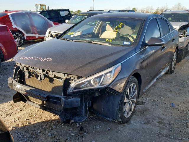 5NPE34AF7FH021236 - 2015 HYUNDAI SONATA SPO BLACK photo 2