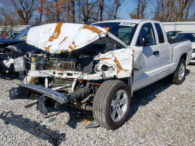 1D7HE42J37S191631 - 2007 DODGE DAKOTA SLT WHITE photo 2