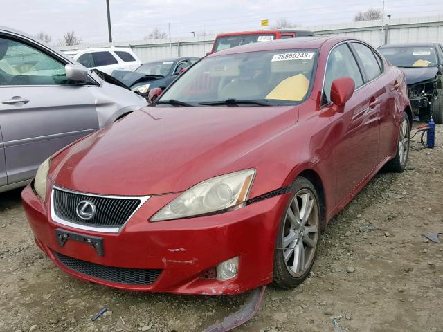 JTHBK262472028291 - 2007 LEXUS IS 250 RED photo 2