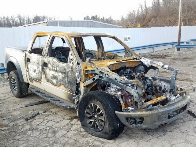 1FTFW1R68DFD97952 - 2013 FORD F150 SVT R BURN photo 1