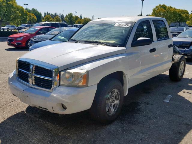 1D7HE48K36S698219 - 2006 DODGE DAKOTA QUA WHITE photo 2